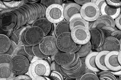 Best Monthly Dividend Stocks In Canada This October 2025